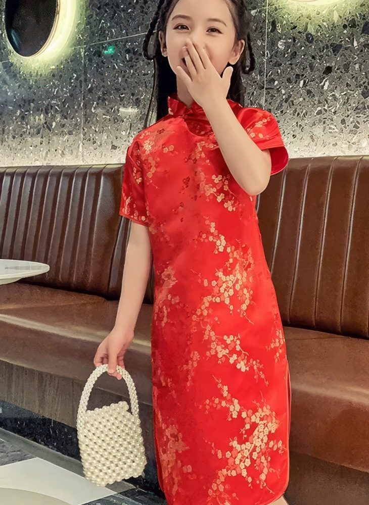 Vestido Chino Tradicional para Niña de Saten con Motivos de Flor de Ciruelo Mangas Cortas